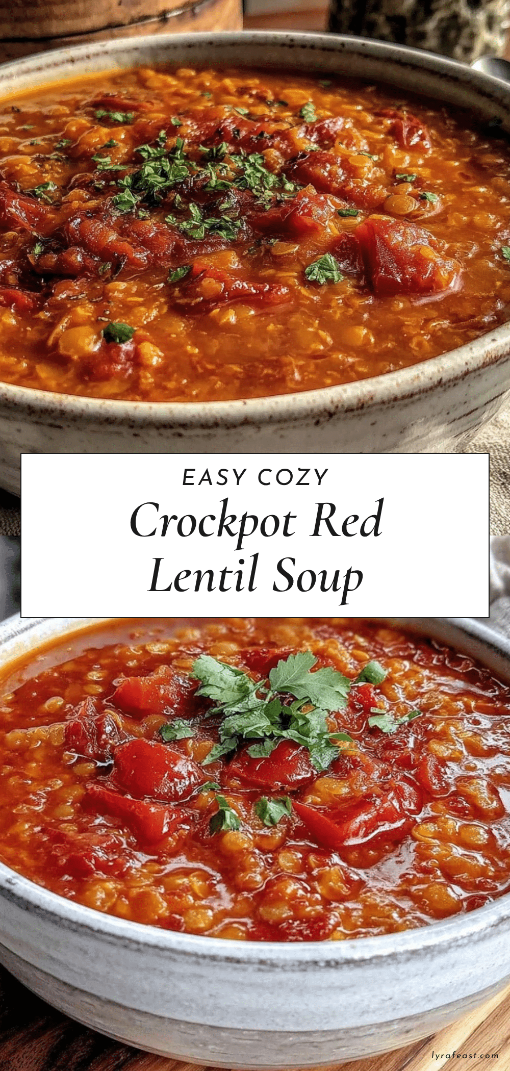cozy crockpot red lentil and tomato soup recipe