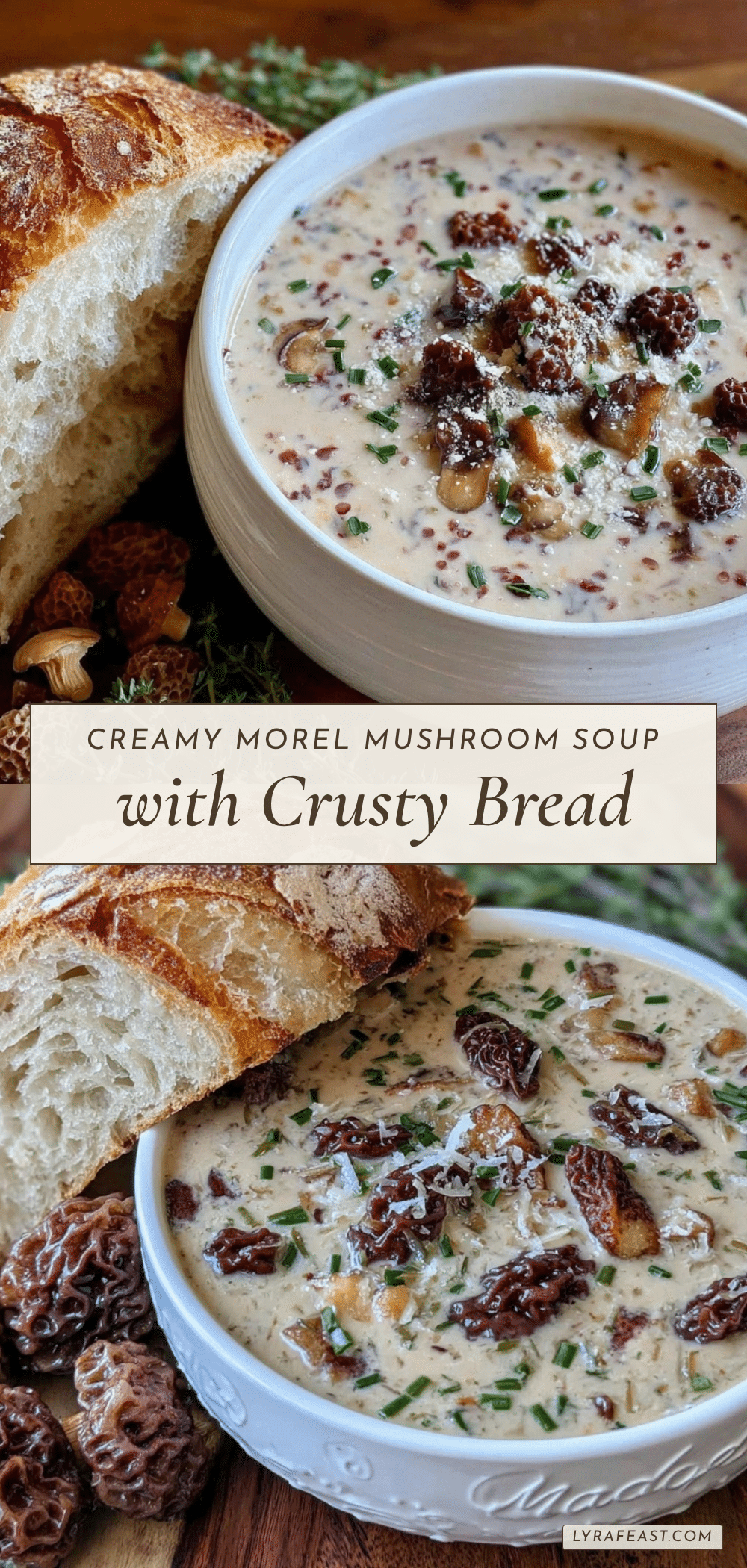 creamy cream of morel mushroom soup recipe