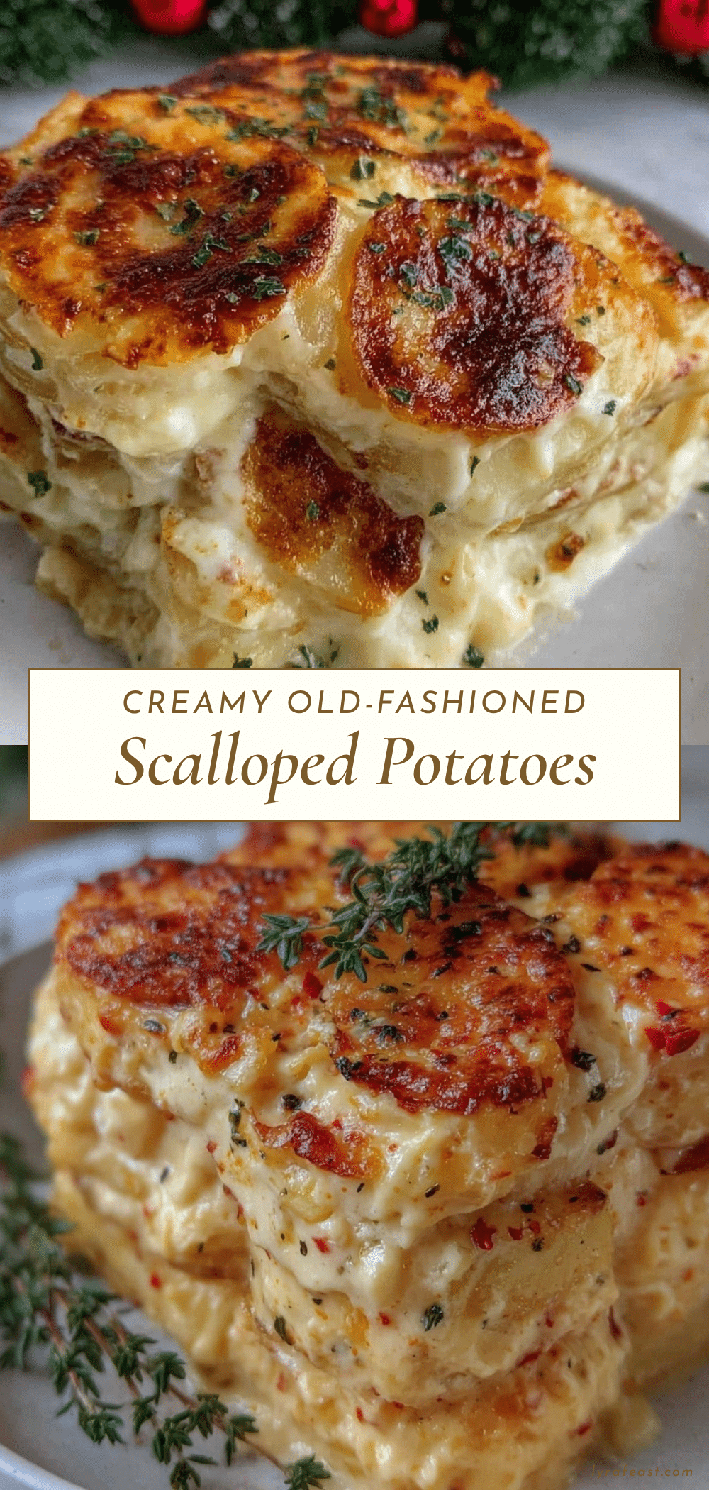 creamy old-fashioned scalloped potatoes recipe recipe