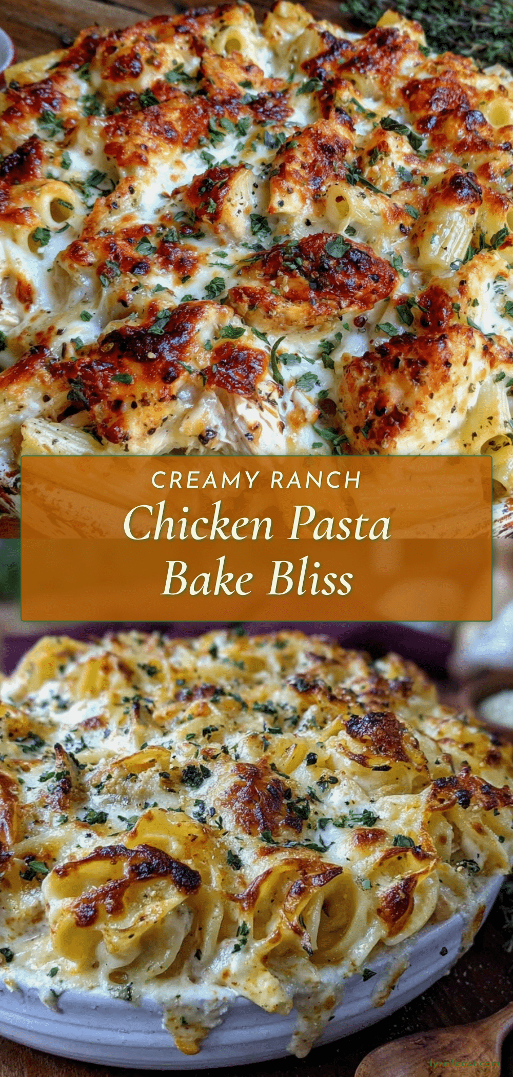 creamy ranch chicken pasta bake recipe
