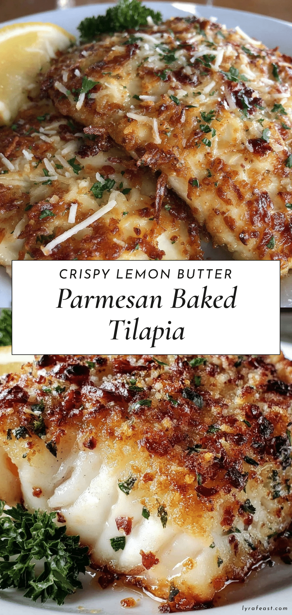 crispy baked tilapia recipe