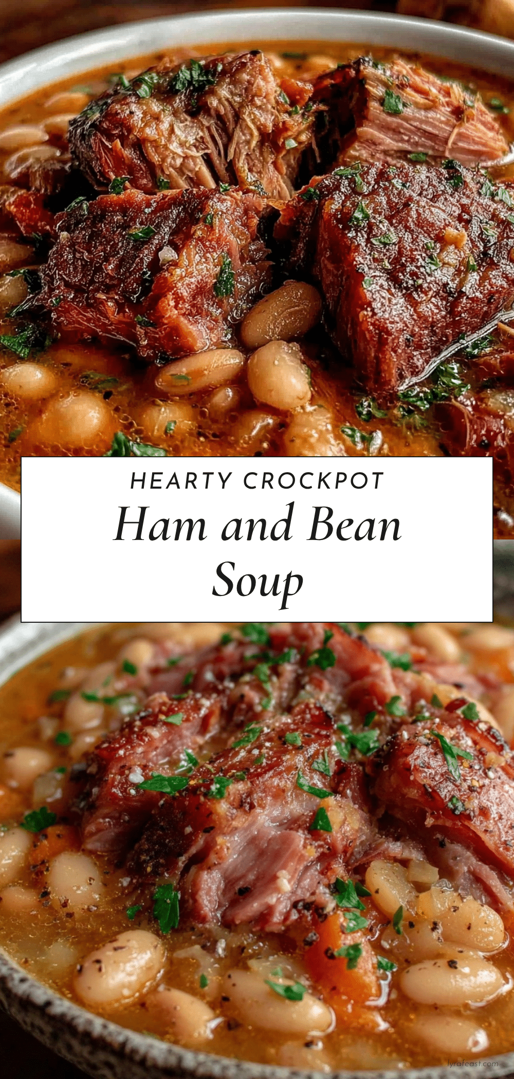 crockpot ham and bean soup recipe