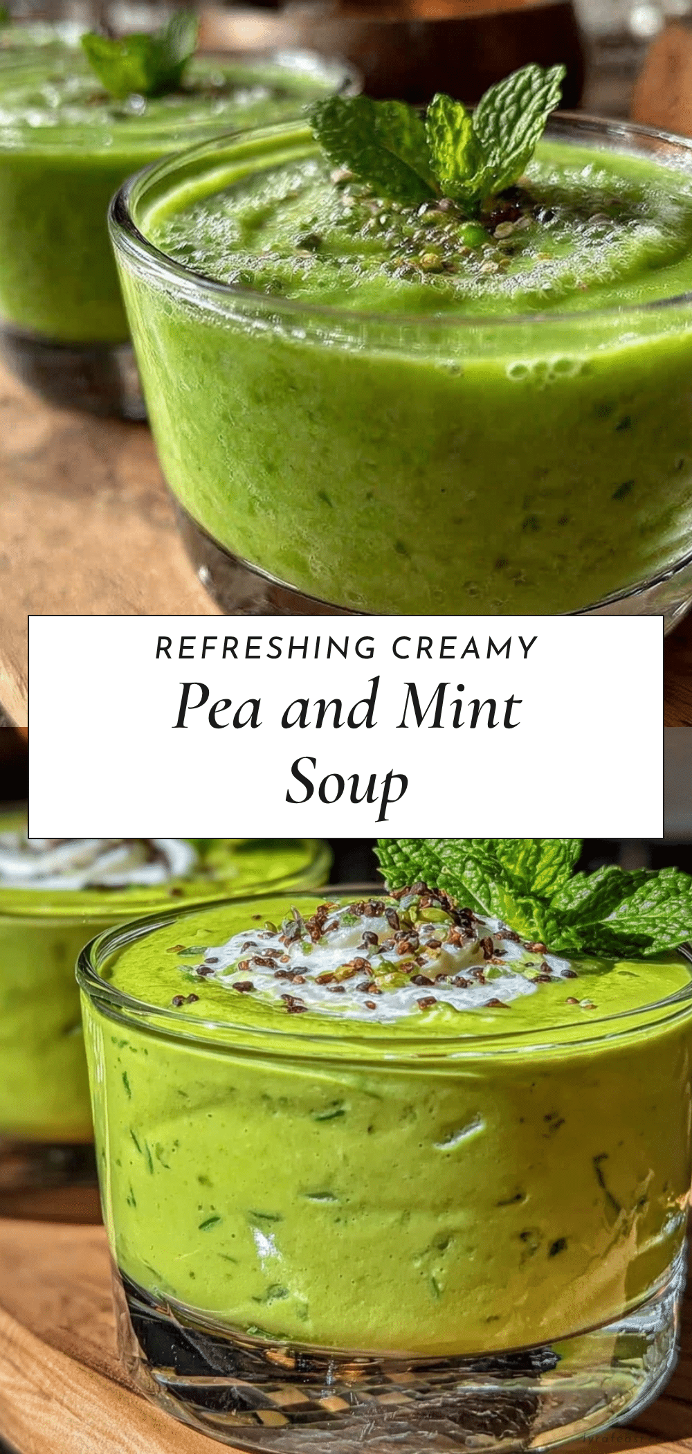 fresh blended pea and mint cold soup recipe