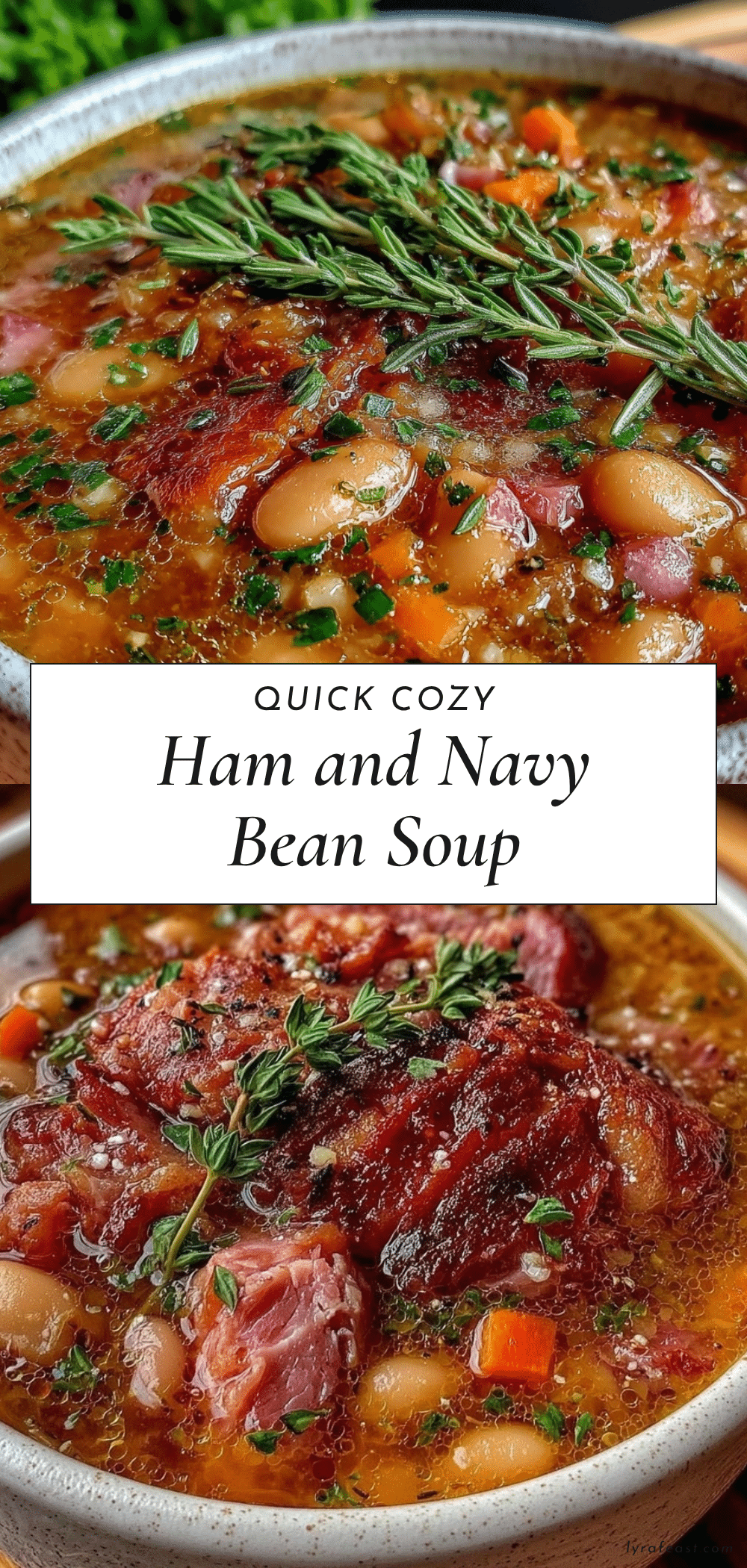 ham and navy bean soup recipe
