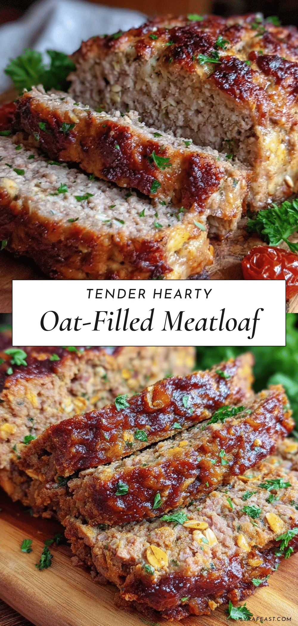 oat-filled meatloaf recipe recipe