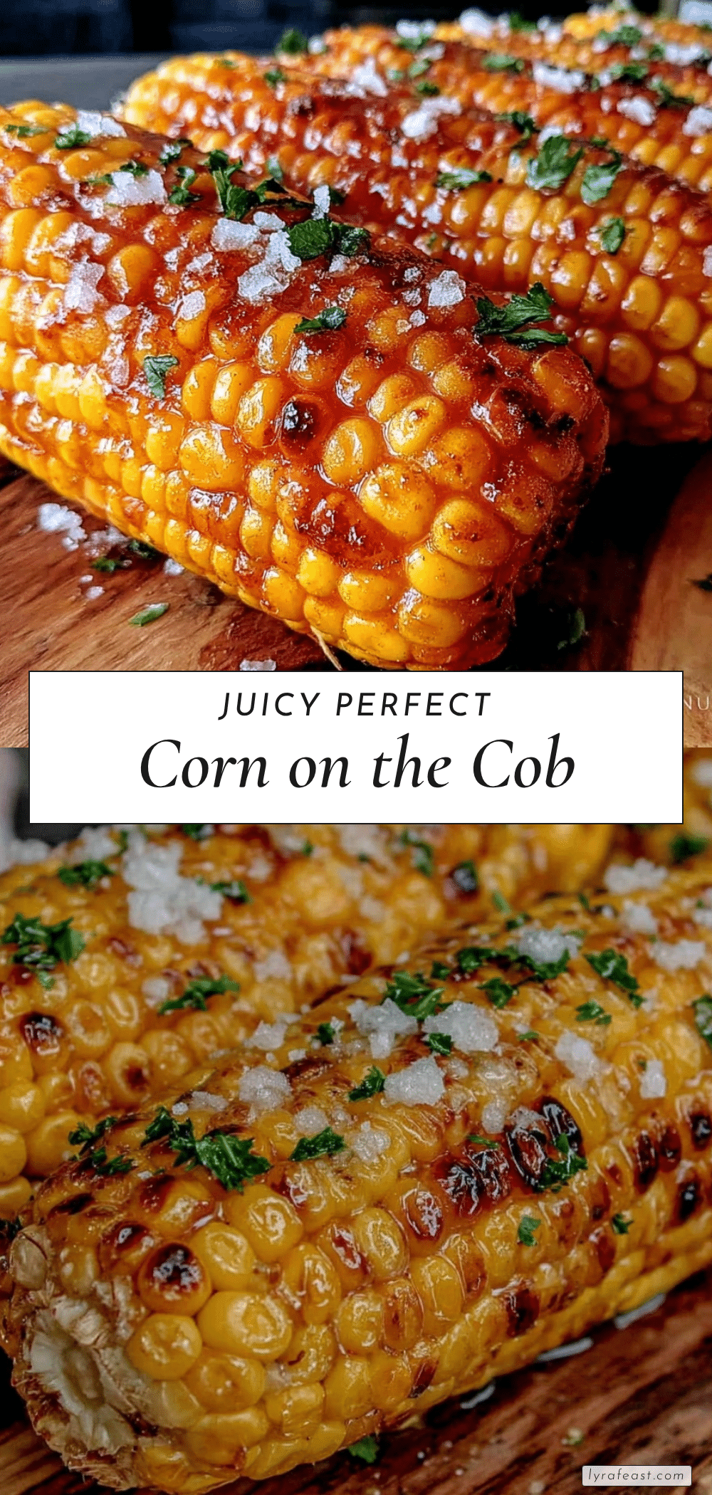 corn on the cob recipe recipe