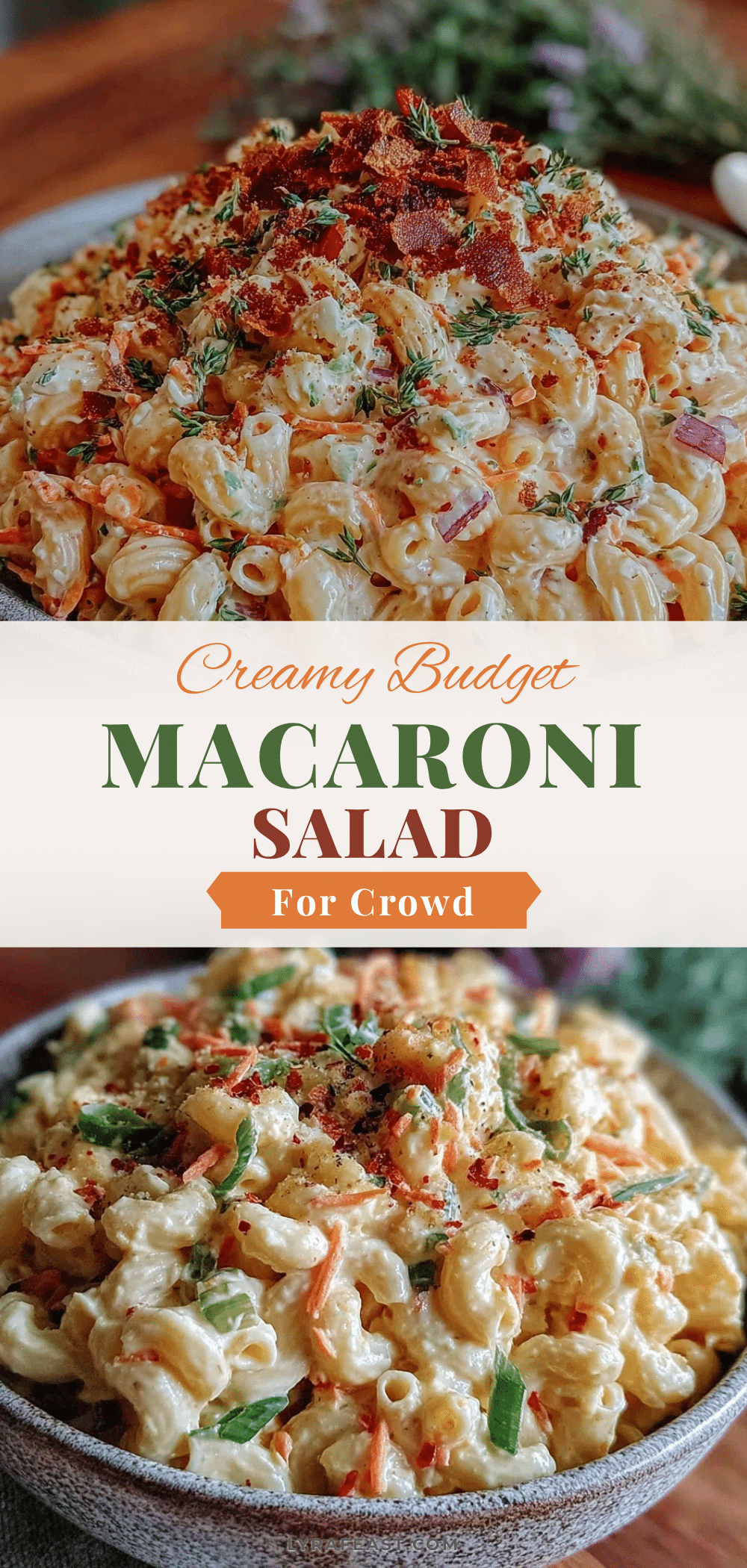 creamy budget macaroni salad recipe