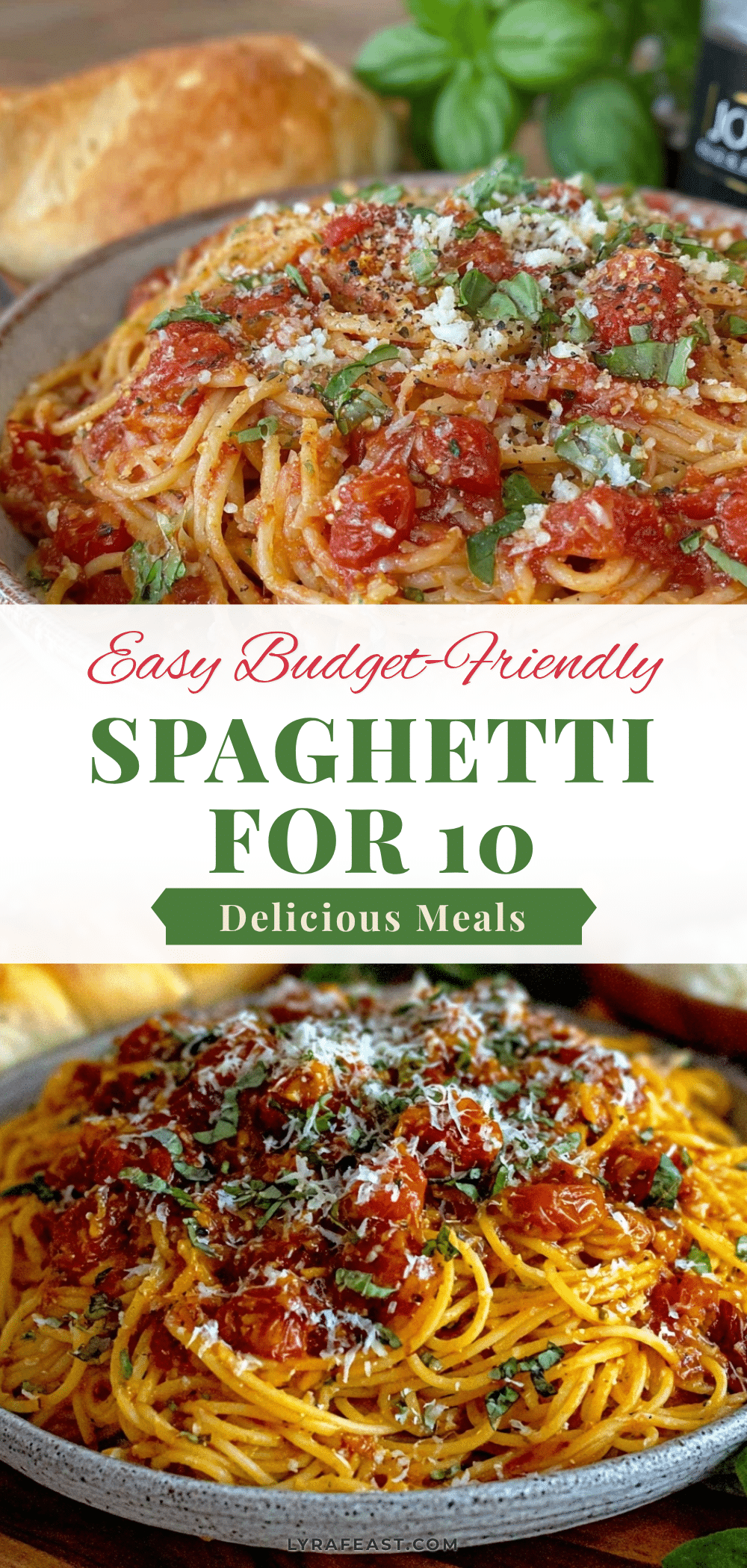 easy budget spaghetti recipe recipe