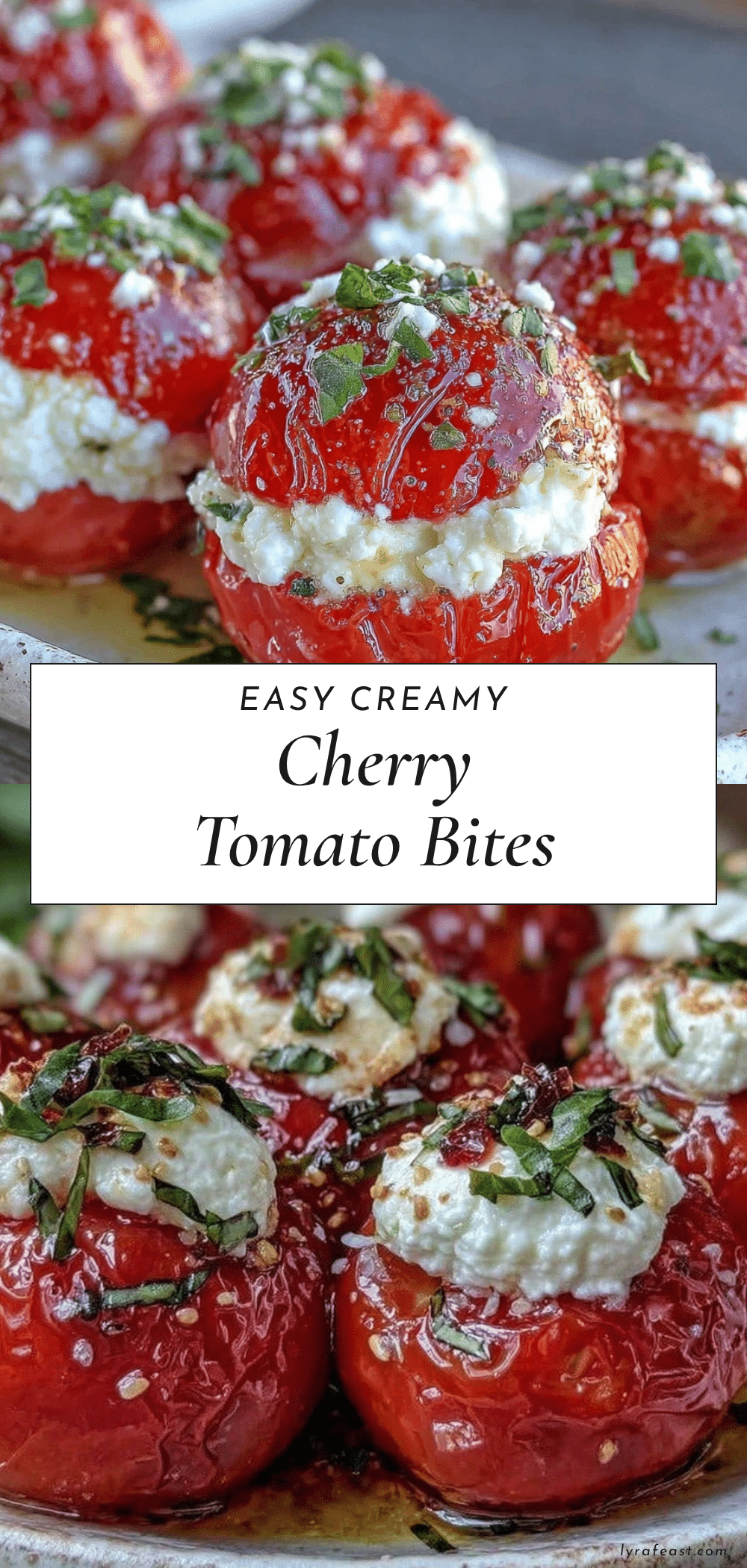 easy cherry tomato bites recipe