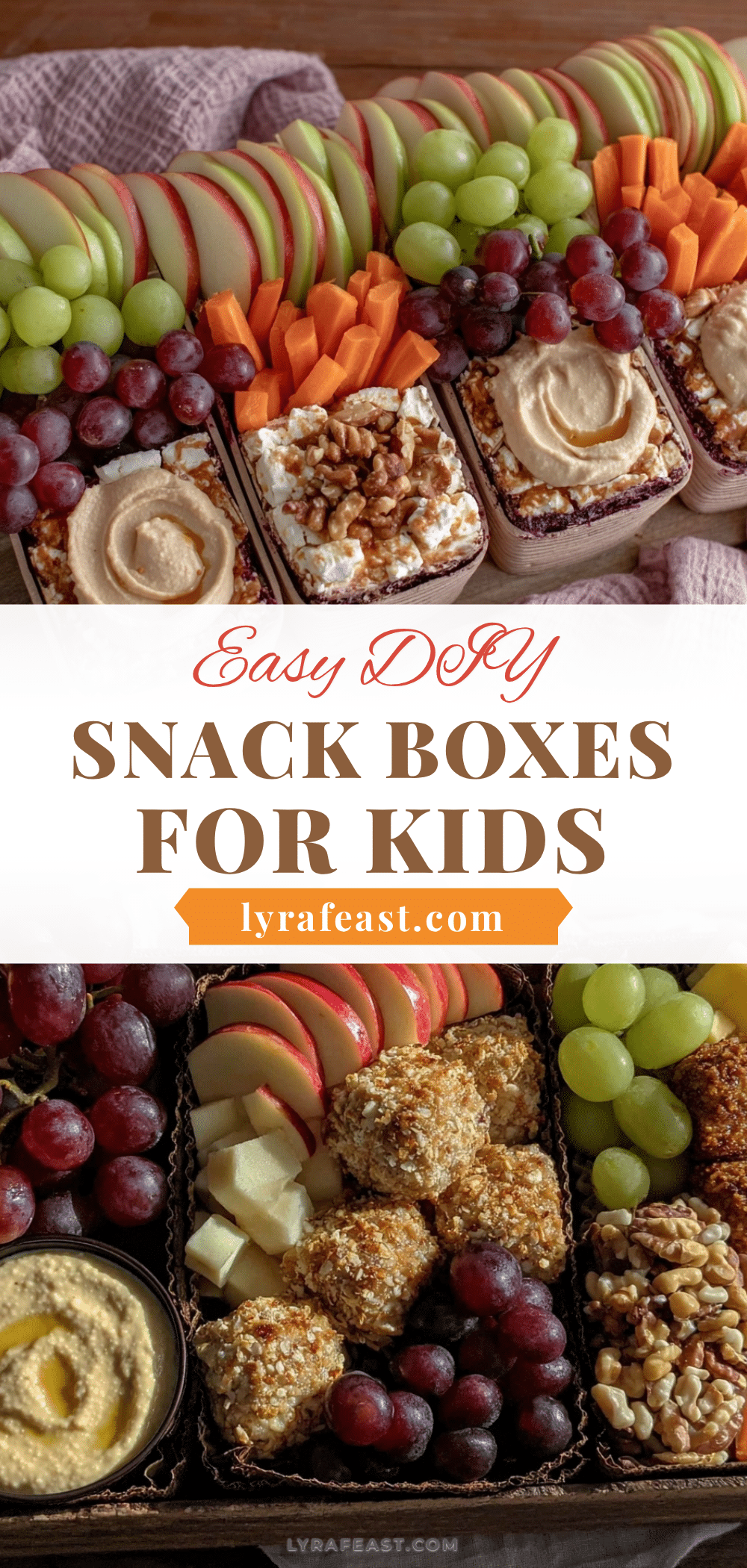 easy diy snack boxes recipe