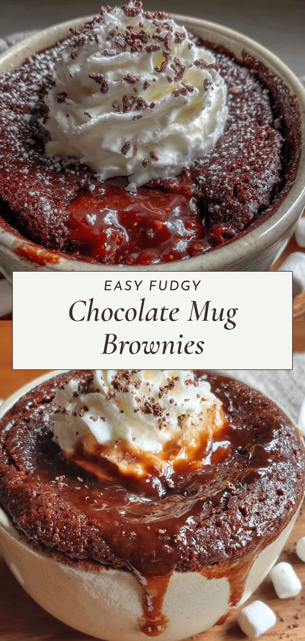 easy fudgy chocolate mug brownies recipe