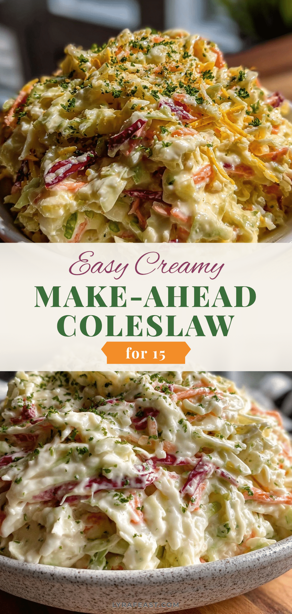 easy make-ahead coleslaw recipe