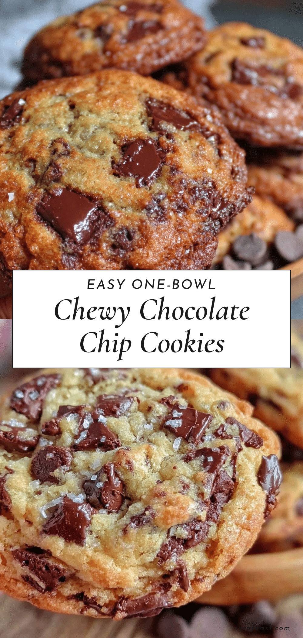 easy one-bowl chewy chocolate chip cookies recipe