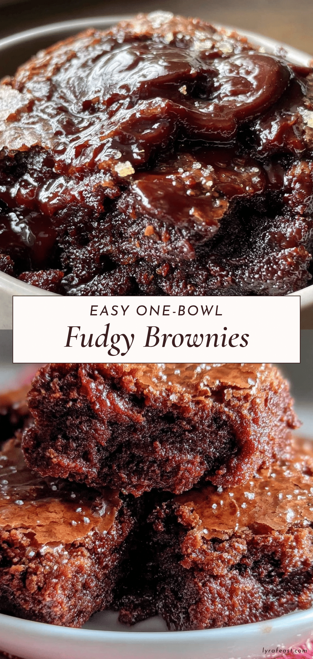 easy one-bowl fudgy brownies recipe