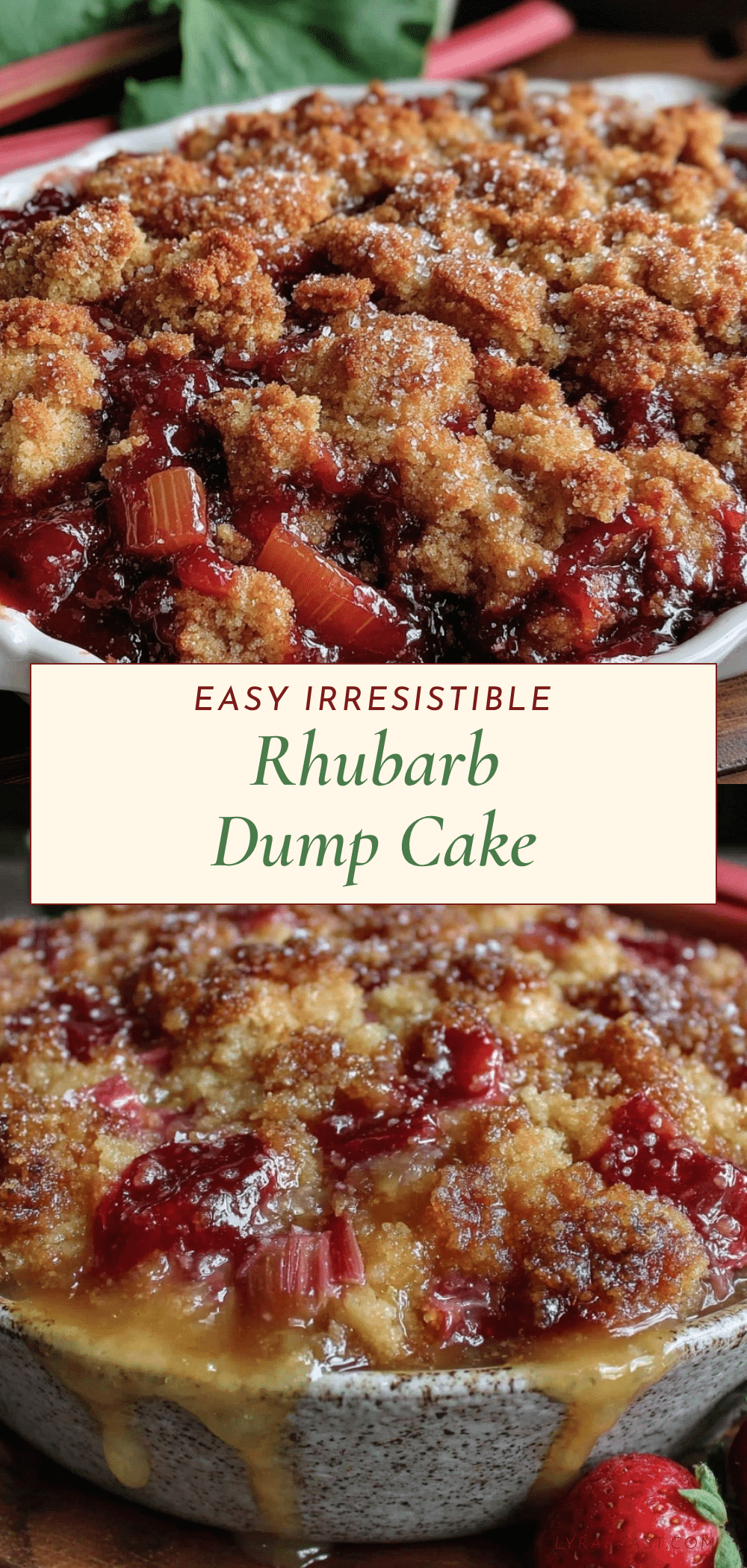 easy rhubarb dump cake recipe recipe