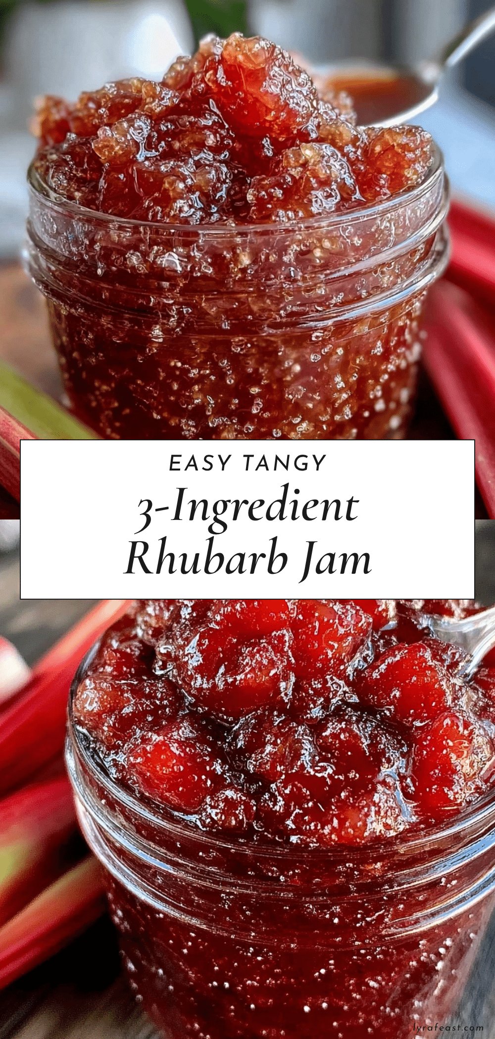 easy rhubarb jam recipe
