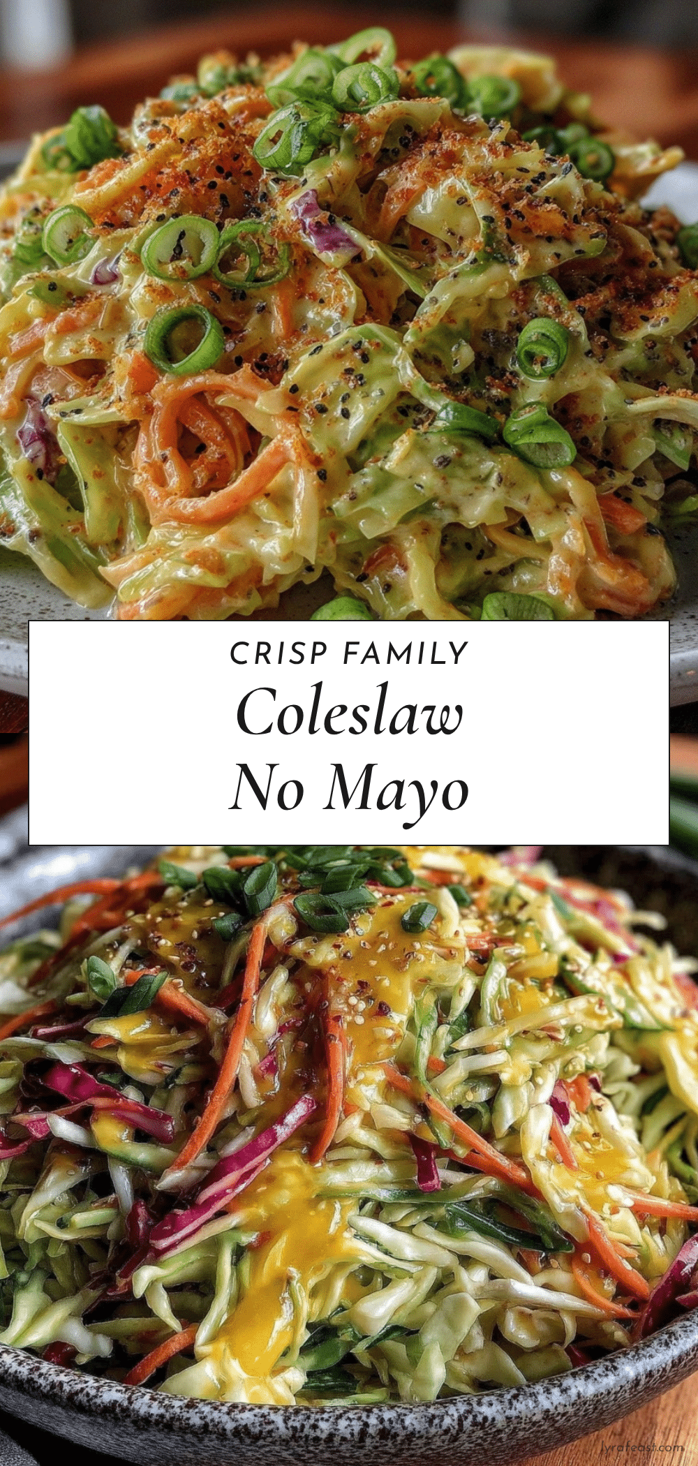 fresh family coleslaw no mayo recipe