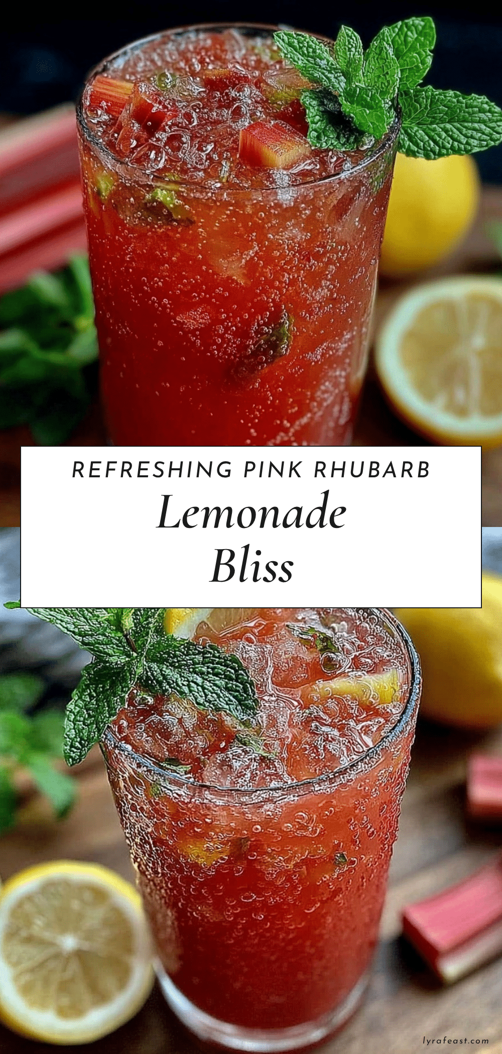 pink rhubarb lemonade recipe