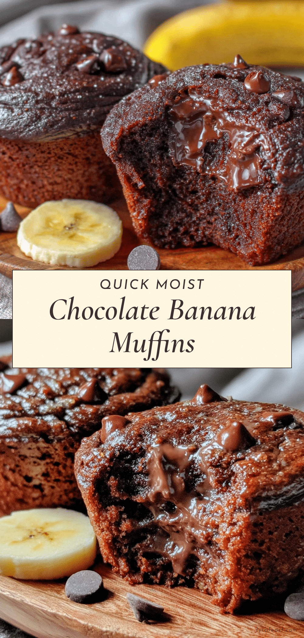 quick chocolate banana muffins recipe
