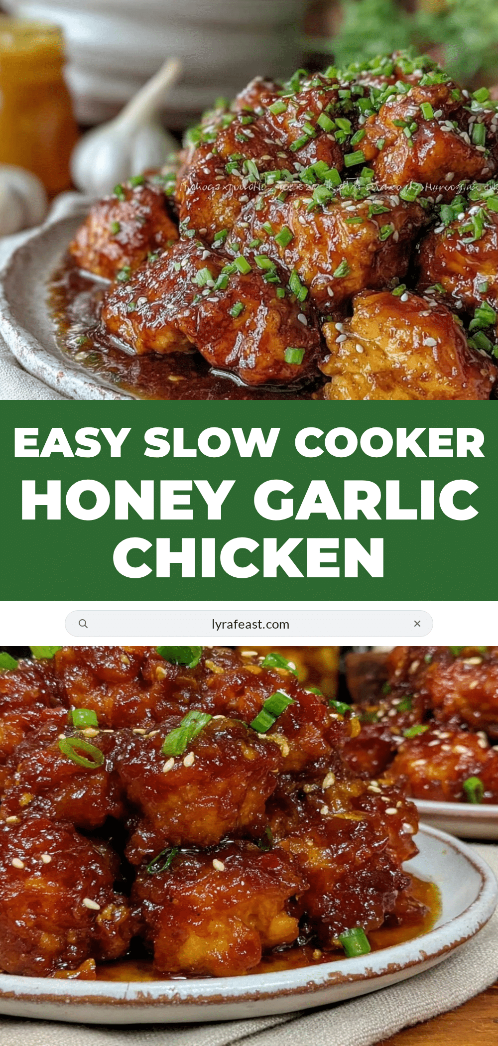 slow cooker honey garlic chicken recipe
