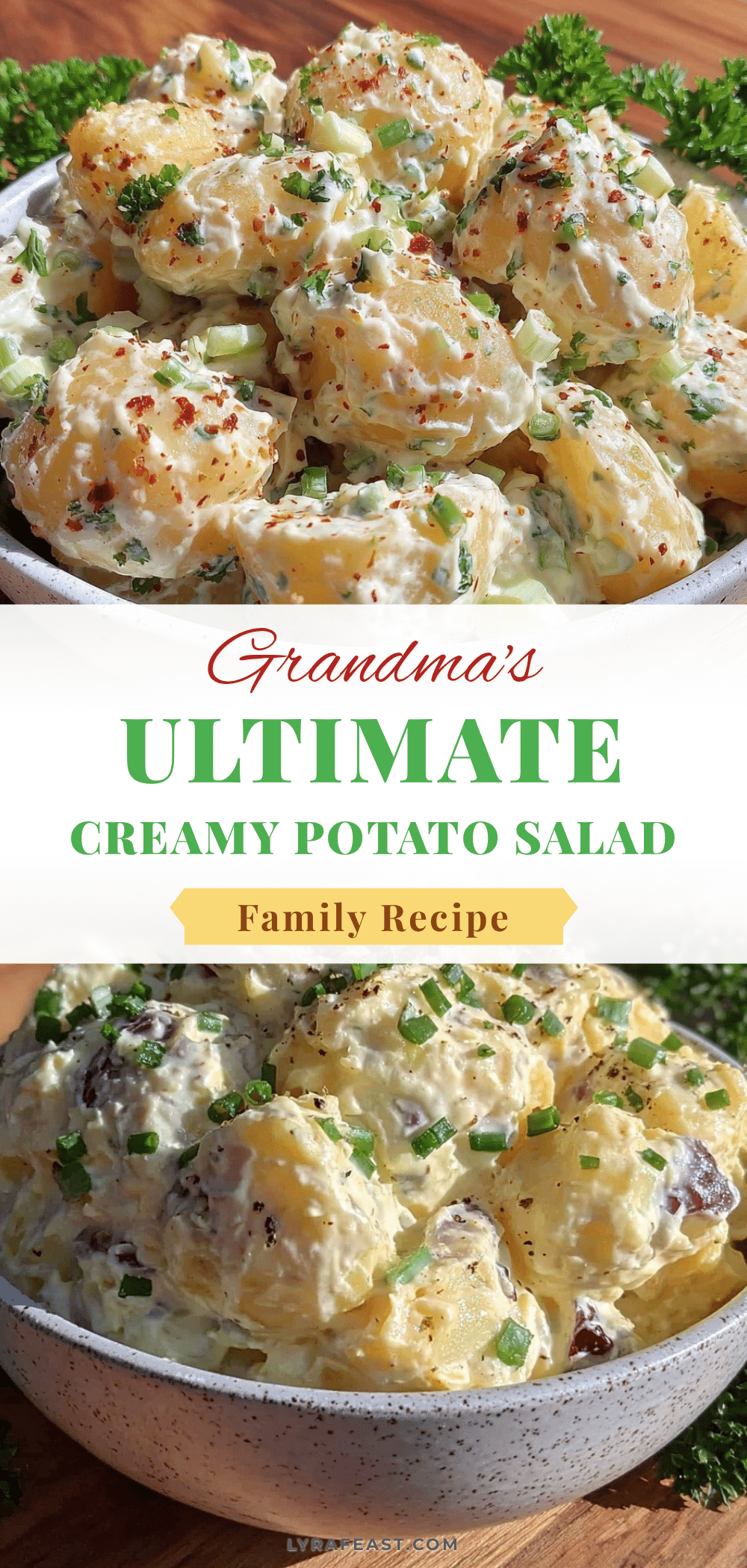 creamy potato salad recipe recipe