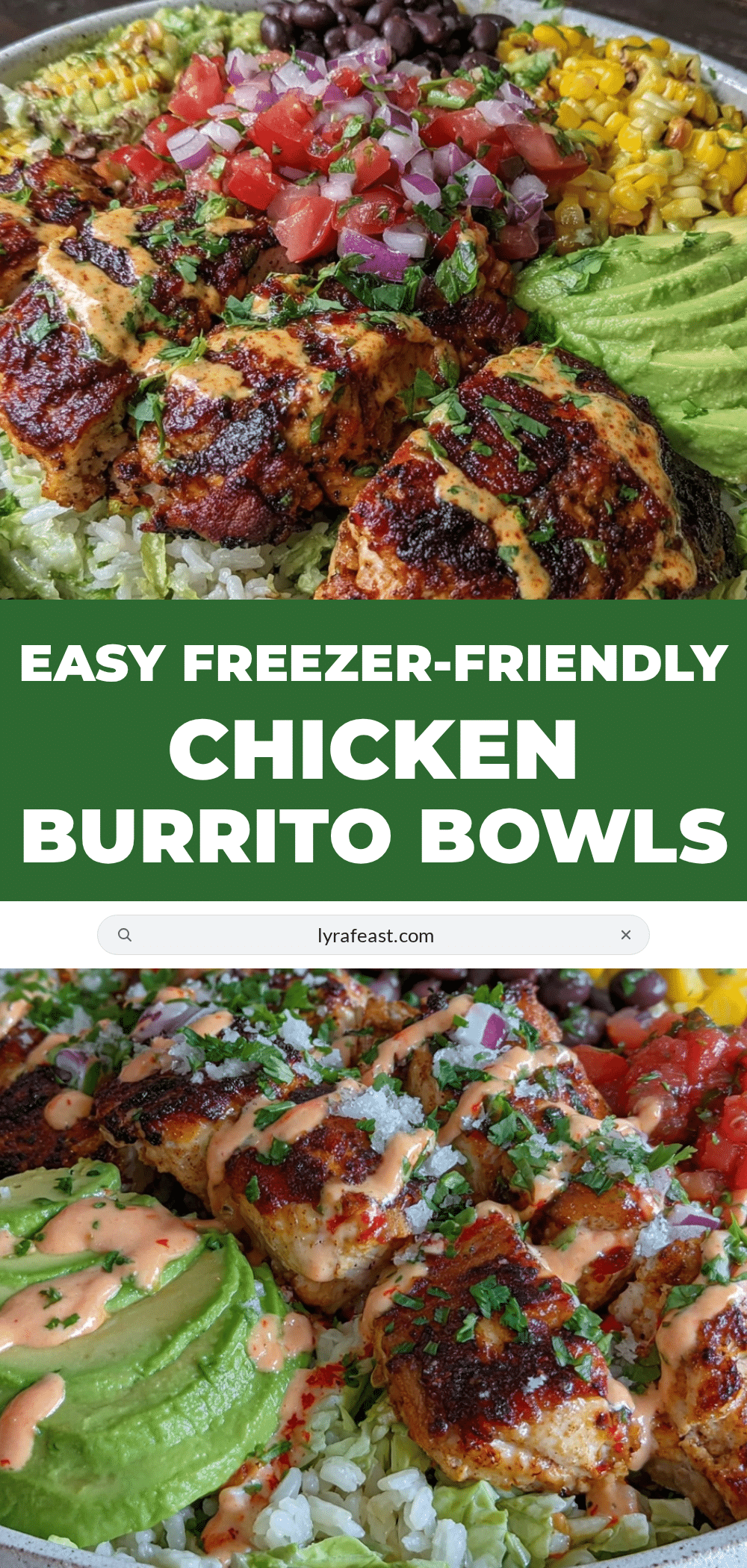 freezer-friendly chicken burrito bowls recipe