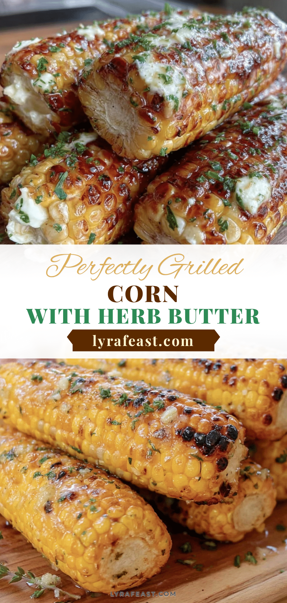 grilled corn on the cob with herb butter recipe