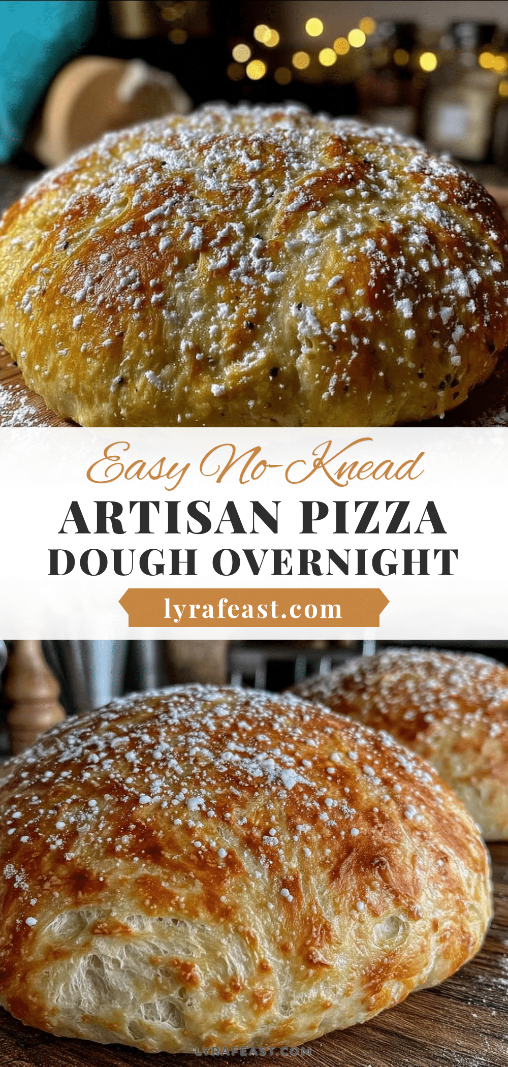 no-knead artisan pizza dough recipe