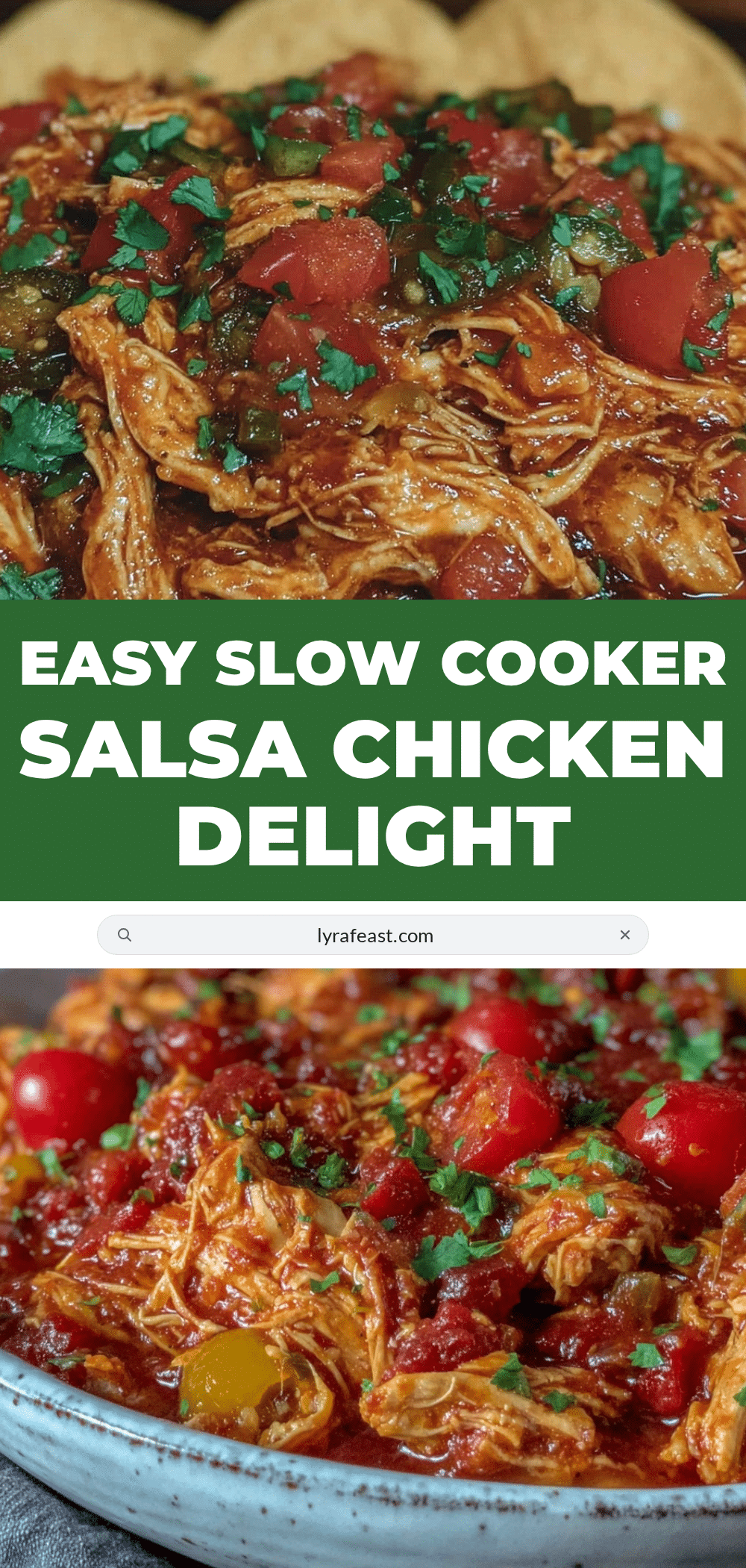 slow cooker salsa chicken recipe