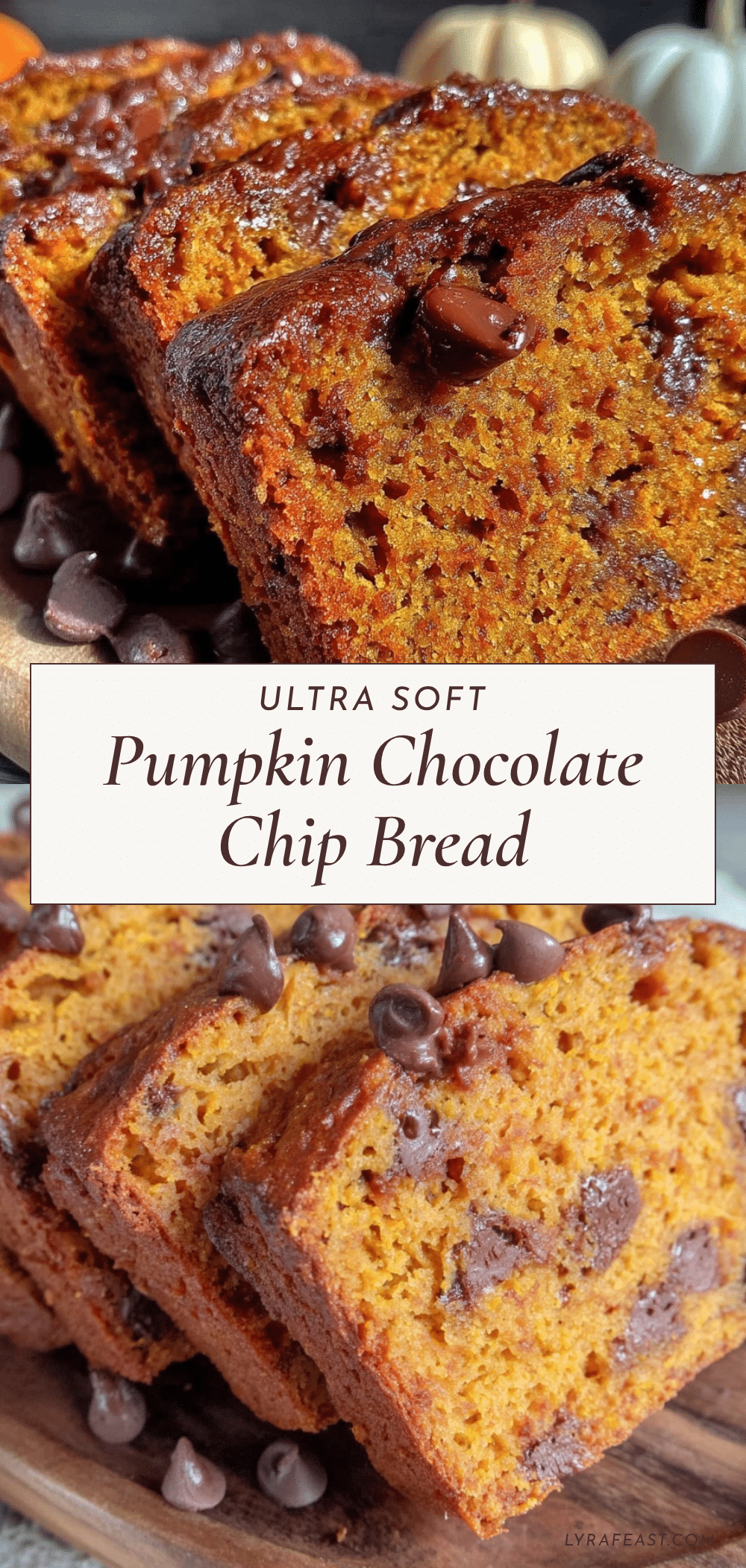 ultra soft pumpkin chocolate chip bread recipe