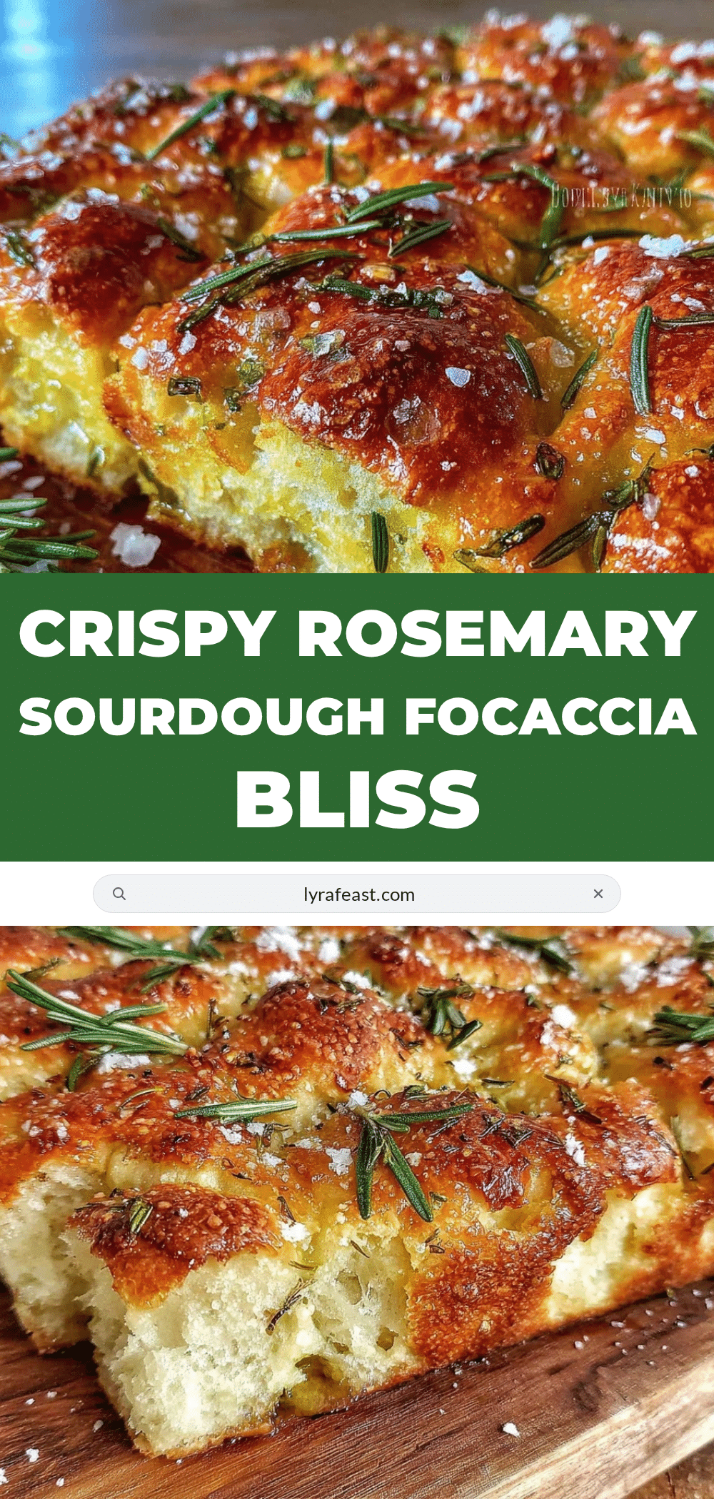 crispy rosemary sourdough focaccia recipe