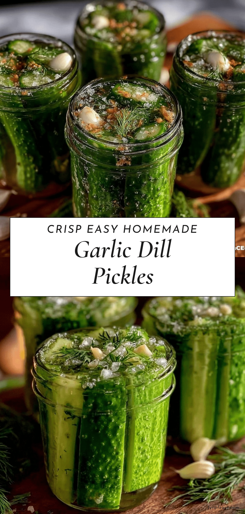 easy homemade refrigerator garlic dill pickles recipe