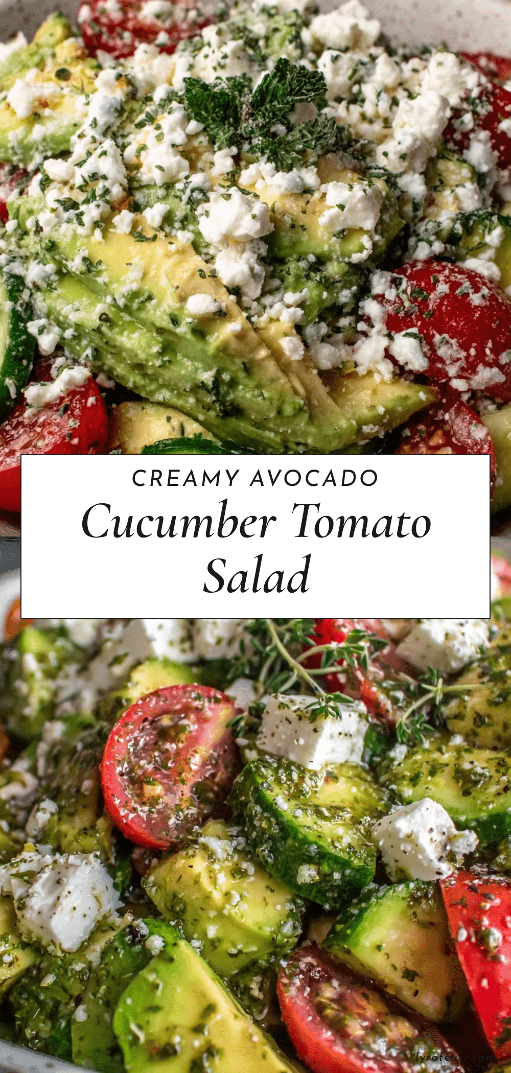 fresh creamy avocado cucumber tomato salad recipe