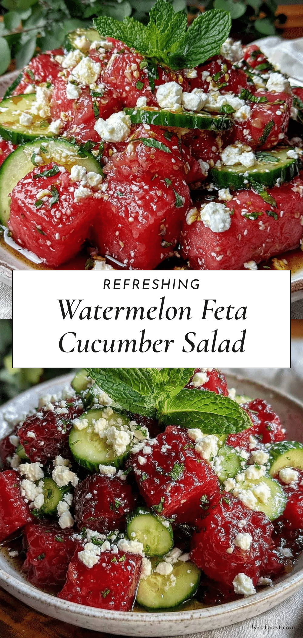 fresh watermelon feta cucumber mint salad recipe