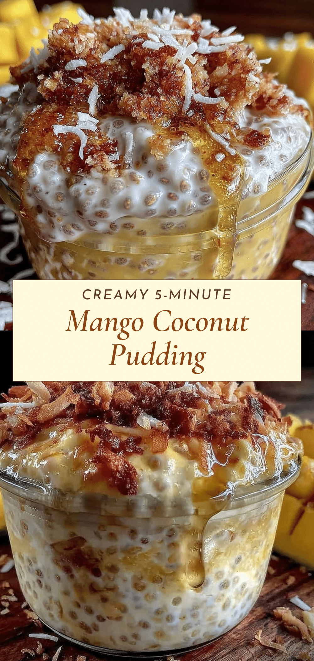 mango coconut chia seed pudding recipe