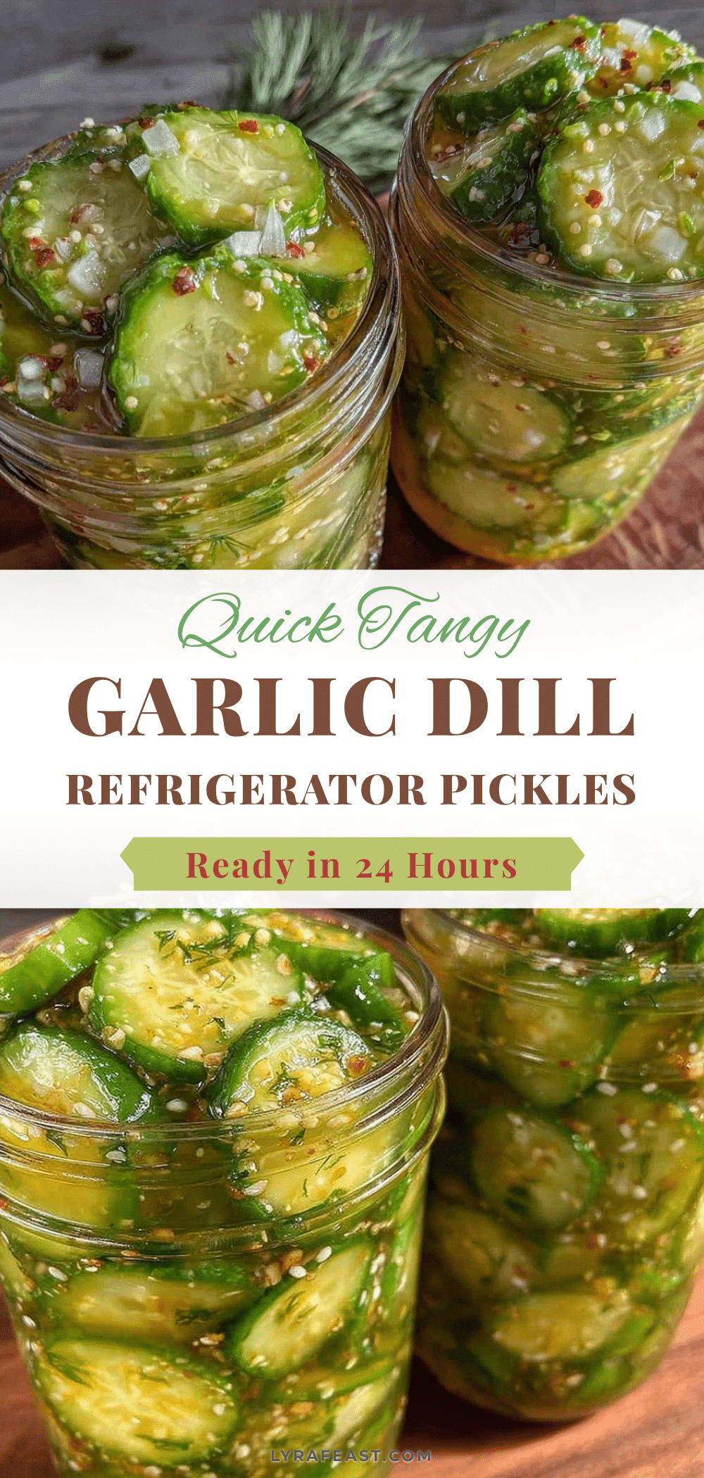 quick garlic dill refrigerator pickles recipe