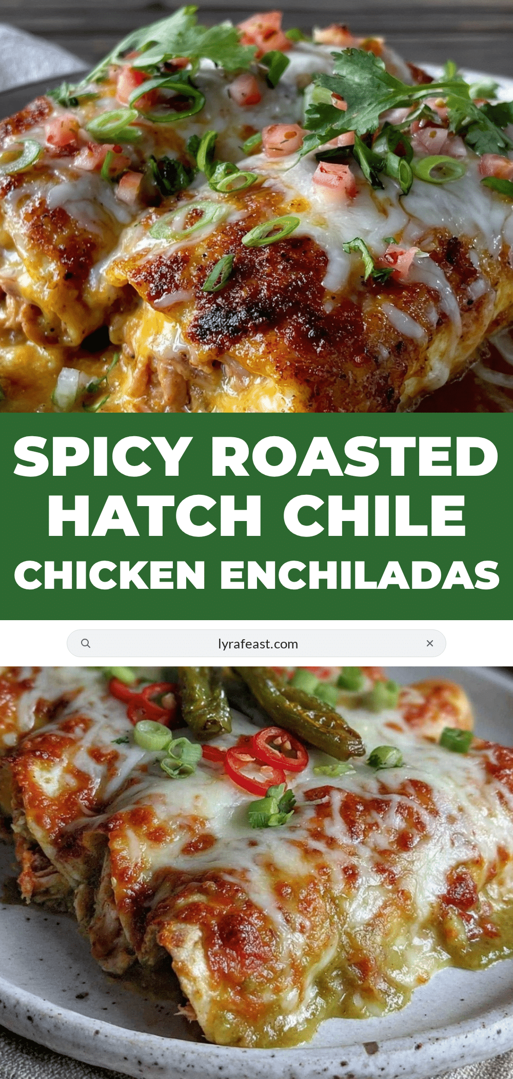 roasted hatch green chile chicken enchiladas recipe