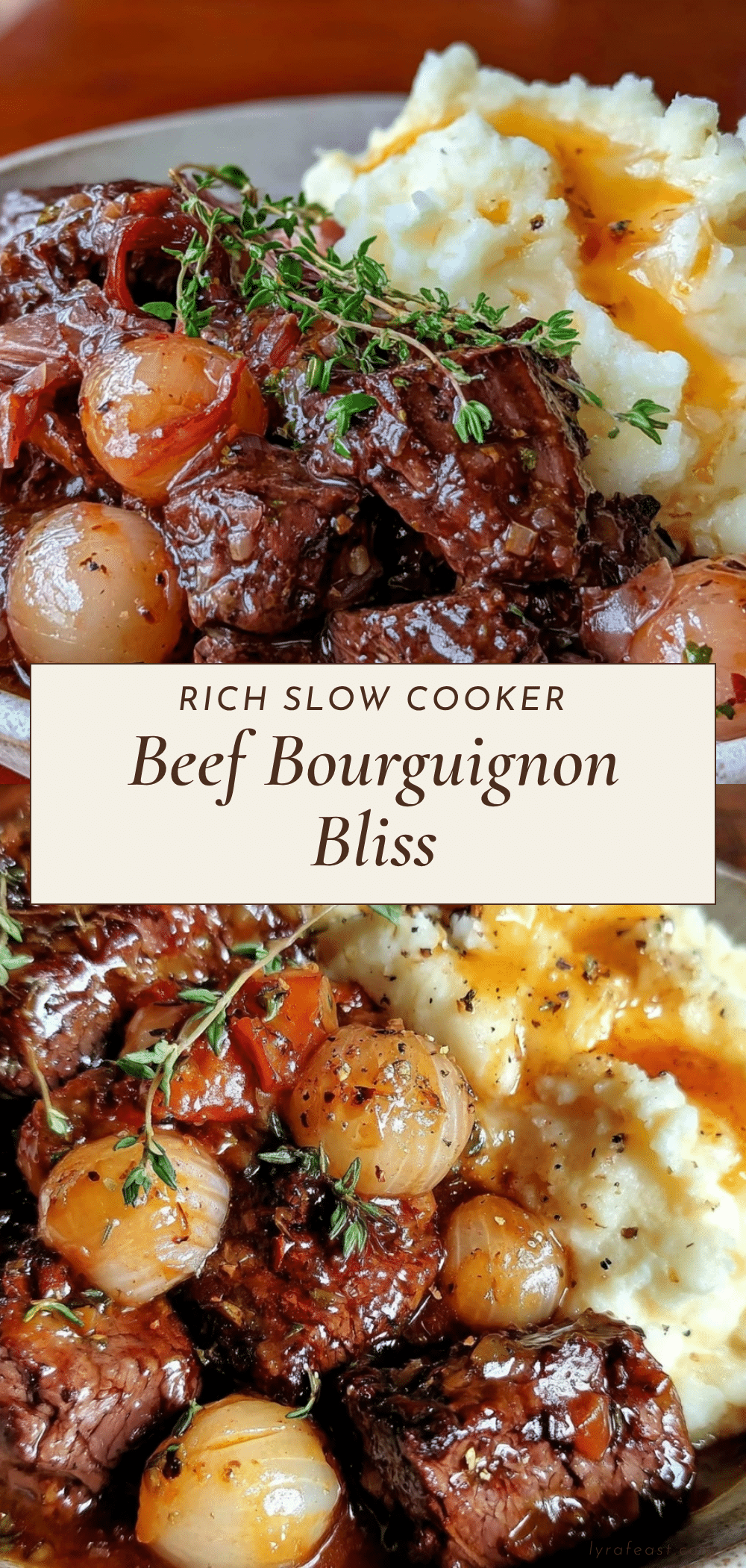 slow cooker beef bourguignon recipe
