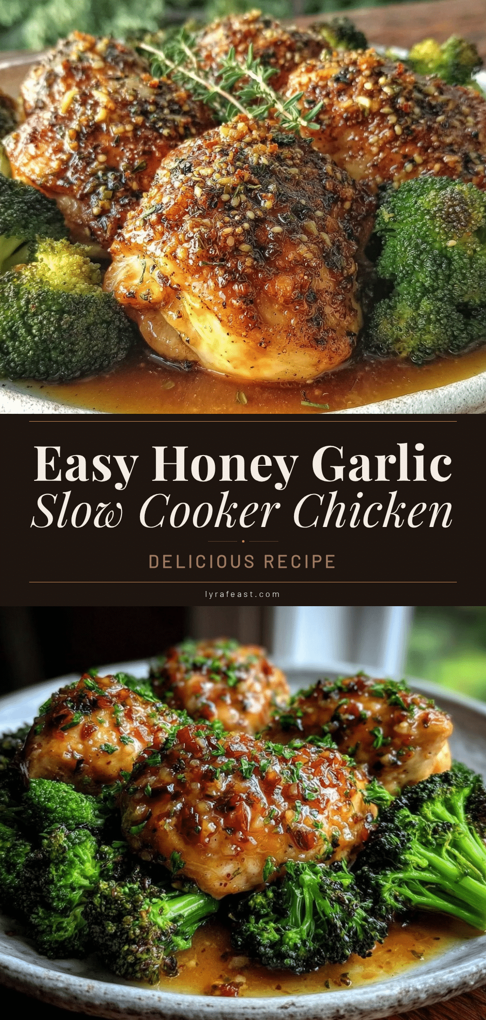 slow cooker honey garlic chicken breast recipe