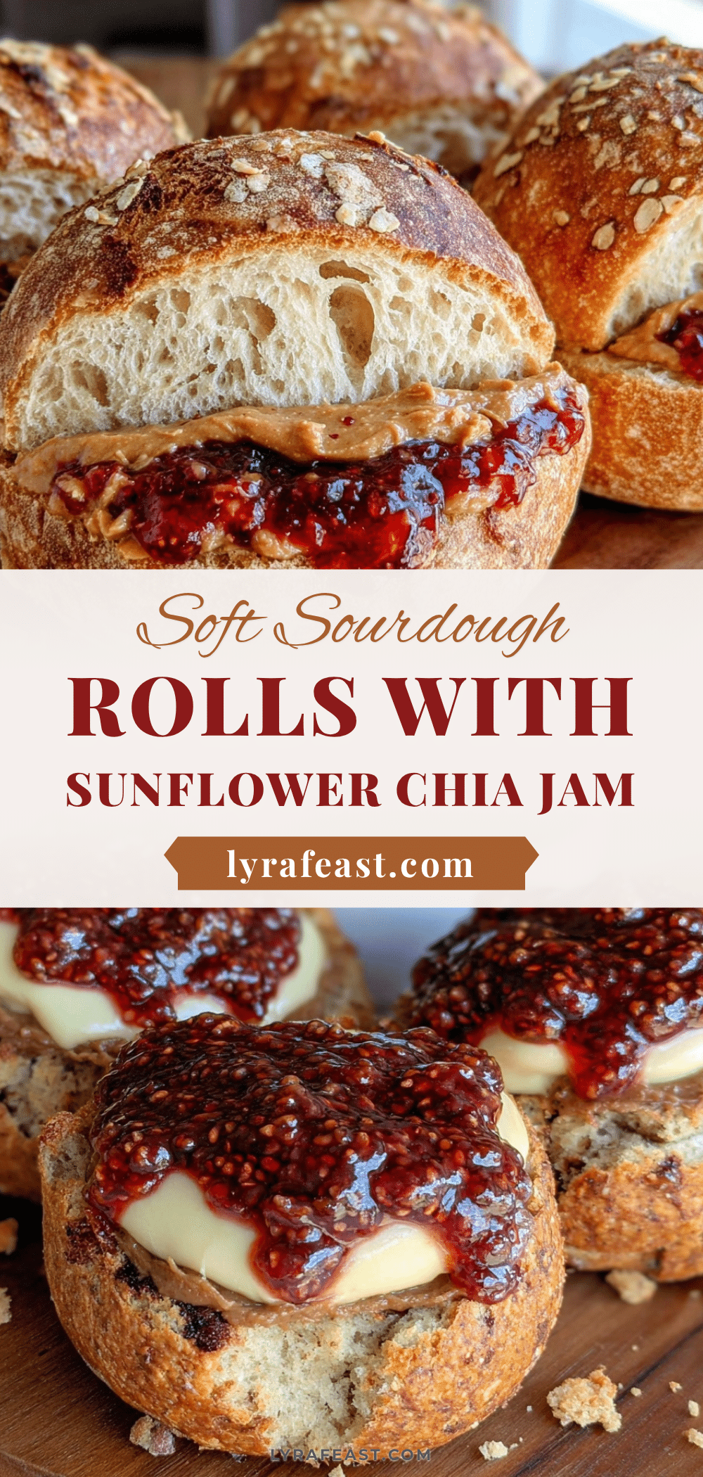 wholesome sourdough sandwich rolls recipe