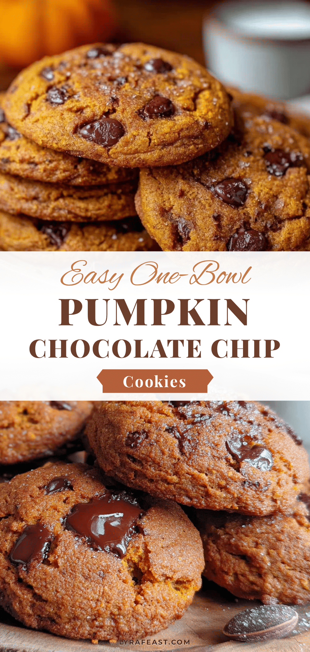 easy one-bowl pumpkin chocolate chip cookies recipe