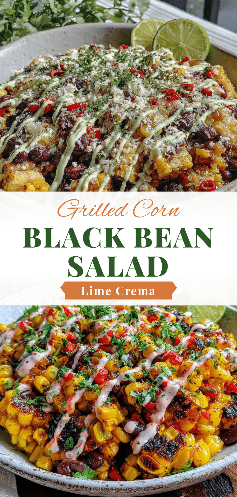 grilled corn black bean salad recipe