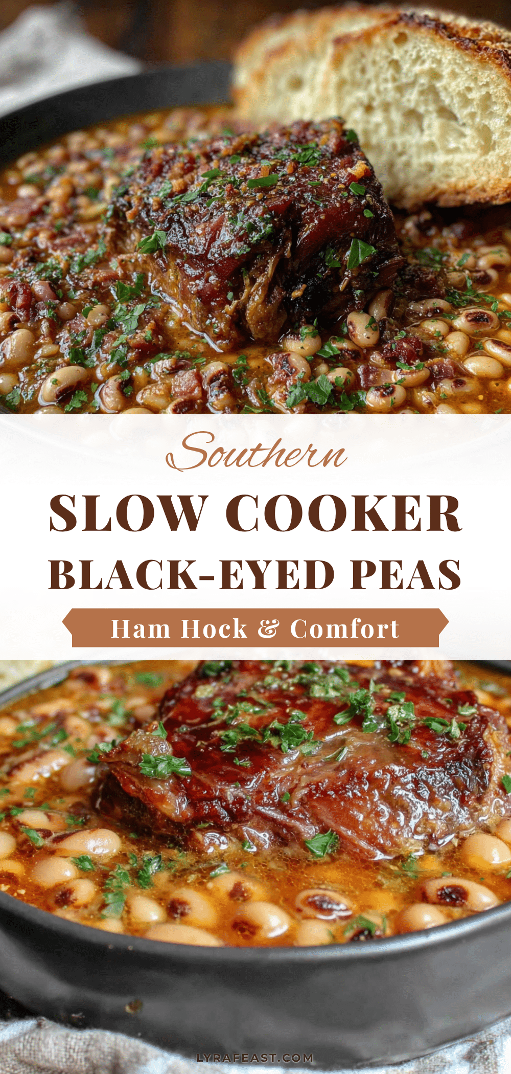 Southern slow cooker black-eyed peas with ham hock recipe