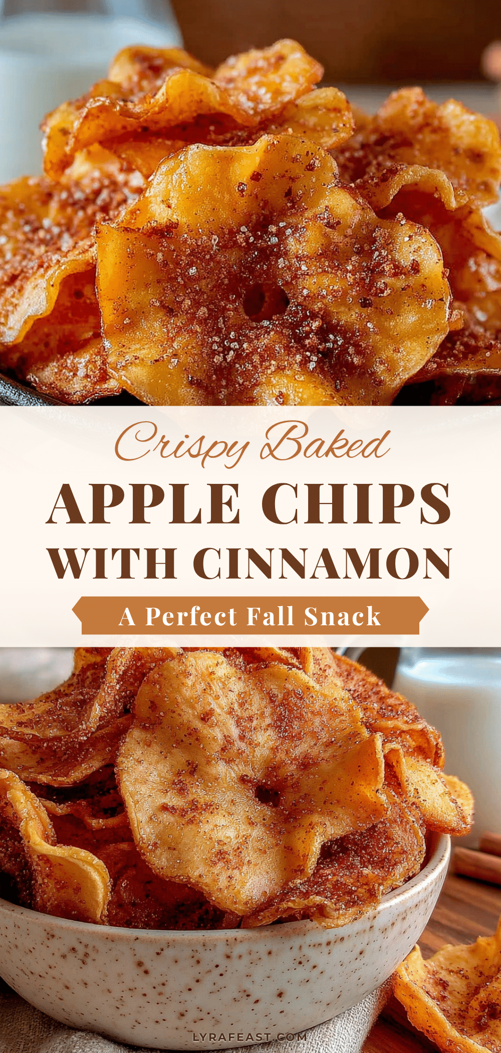 crispy baked apple chips with cinnamon recipe