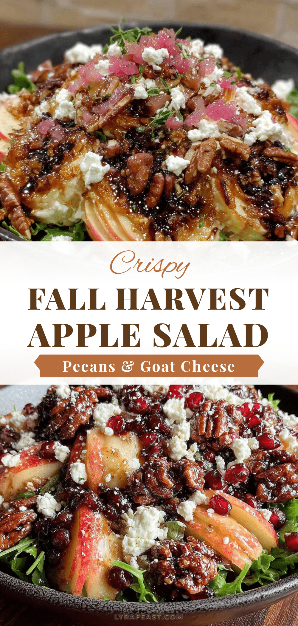 fall harvest salad recipe