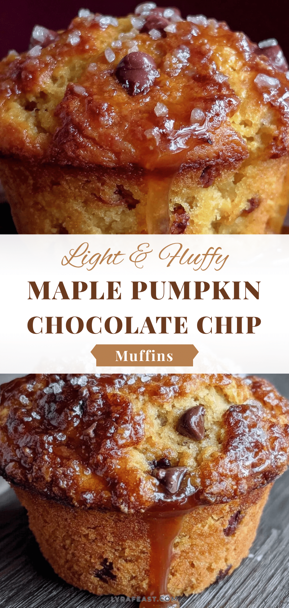 Light & Fluffy Maple Pumpkin Chocolate Chip Muffins recipe