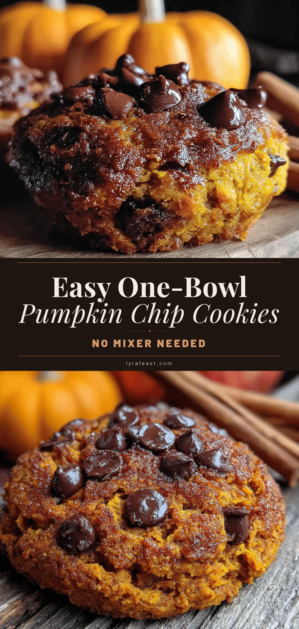 one-bowl pumpkin chocolate chip cookies recipe