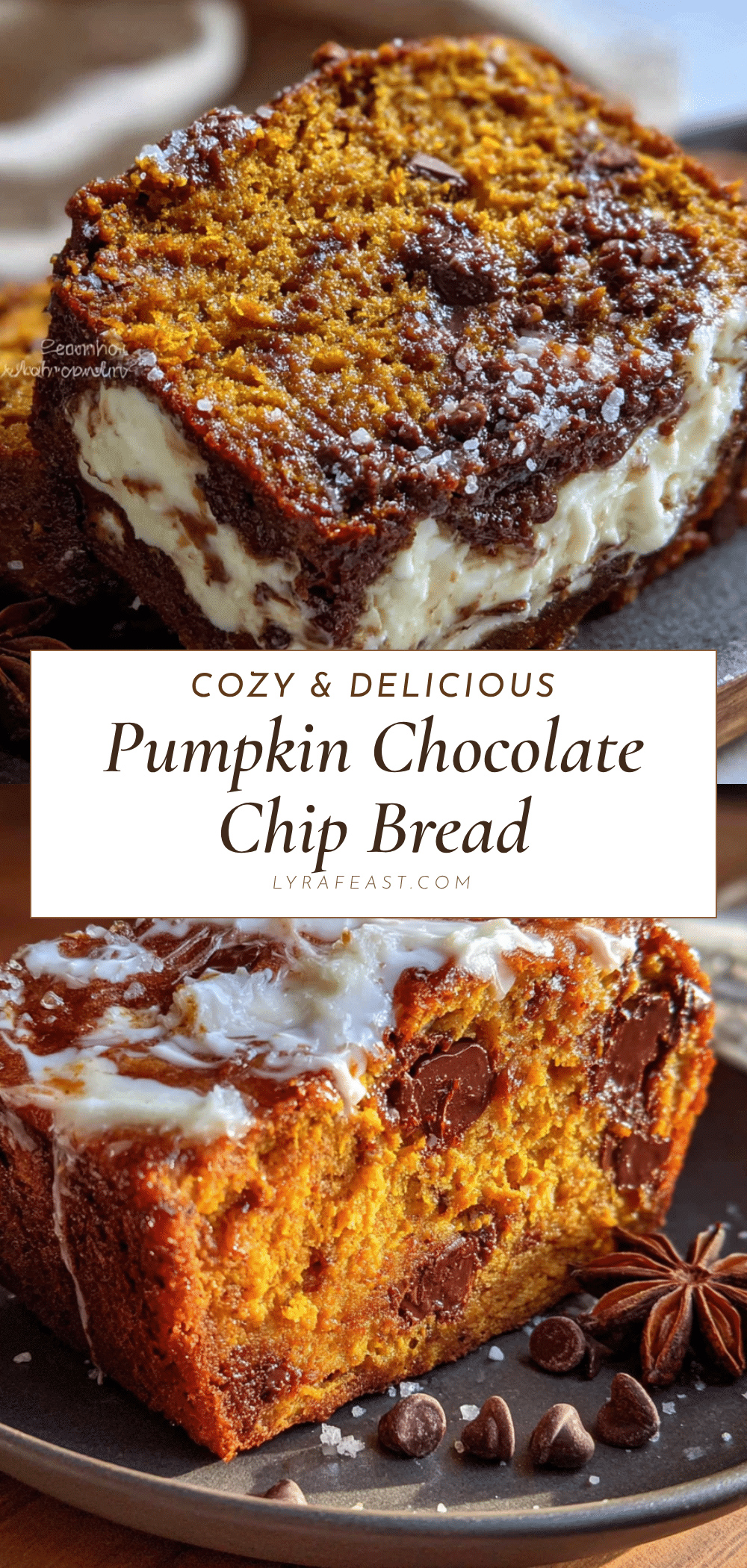 pumpkin chocolate chip bread recipe